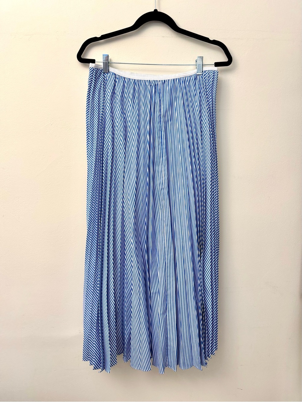 J.CREW Pleated Maxi Skirt